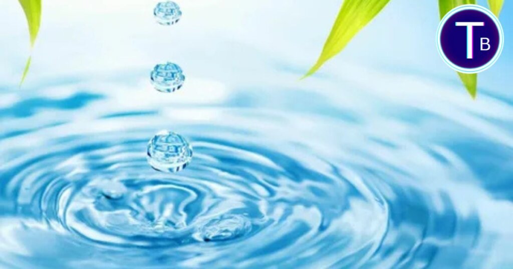 Innovation and Purpose