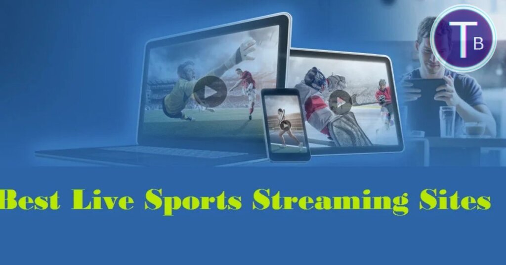 User Experience and Limitations