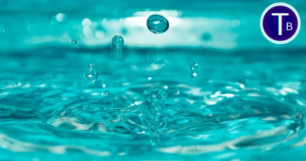 Merging Technology with Sustainability