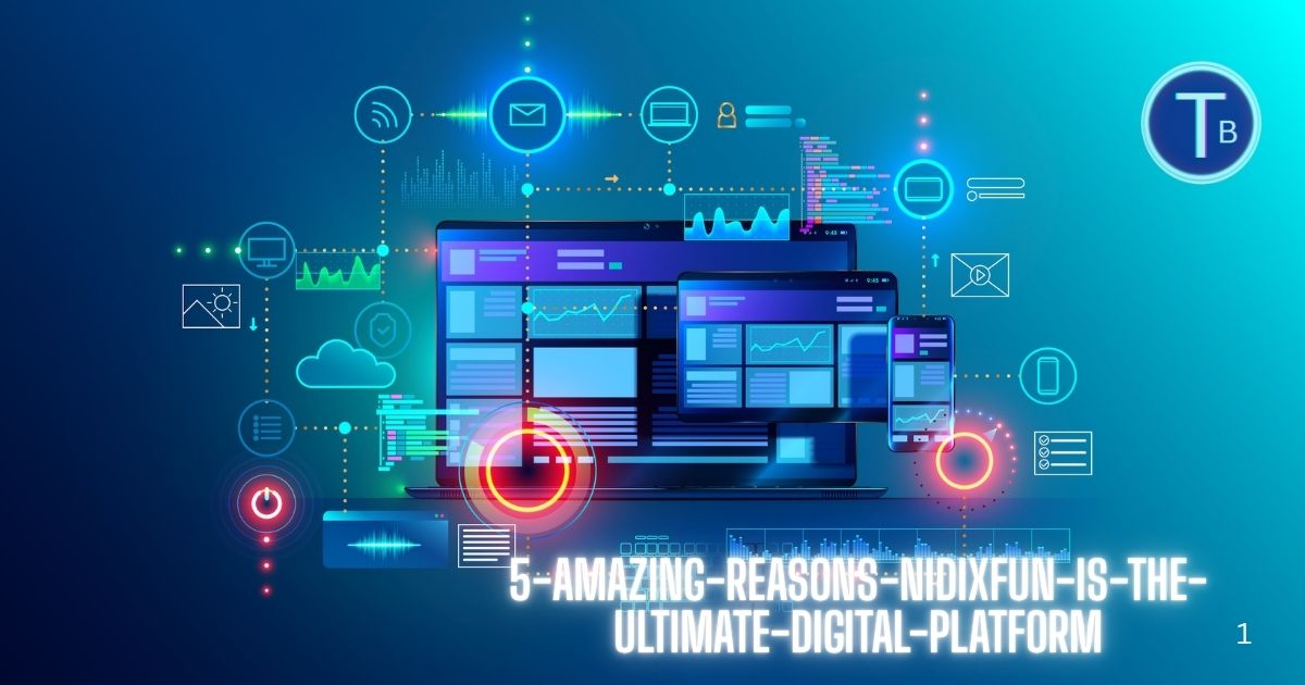 5 Amazing Reasons Nidixfun Is the Ultimate Digital Platform